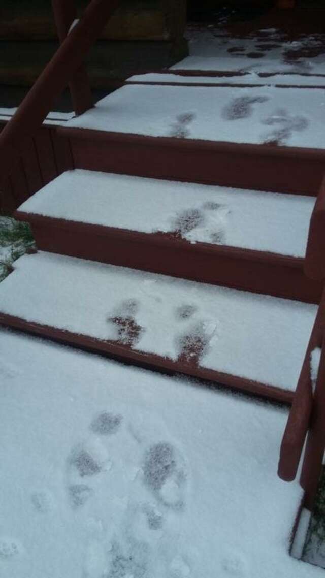 Гостиница Меридиан Архангельск-32